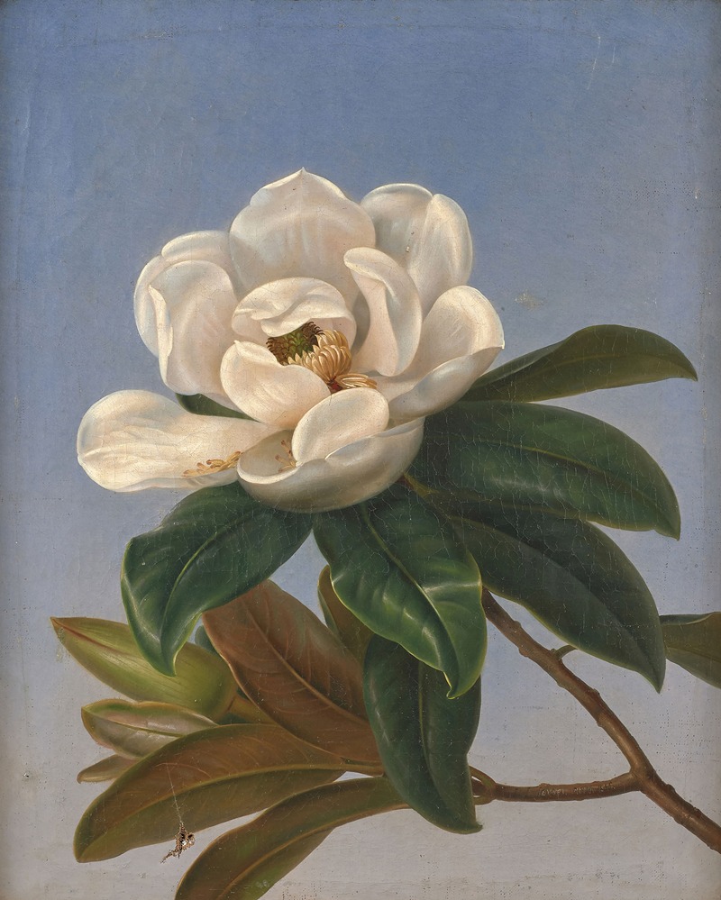 Johan Laurentz Jensen - Fleur de magnolia