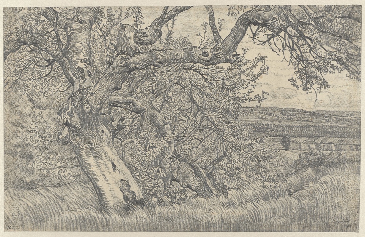Pieter Dupont - Oude boom in glooiend landschap