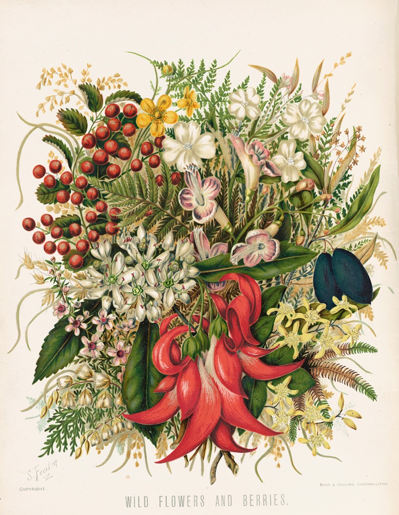 Sarah Featon - Wild Flowers and Berries. Plate 0