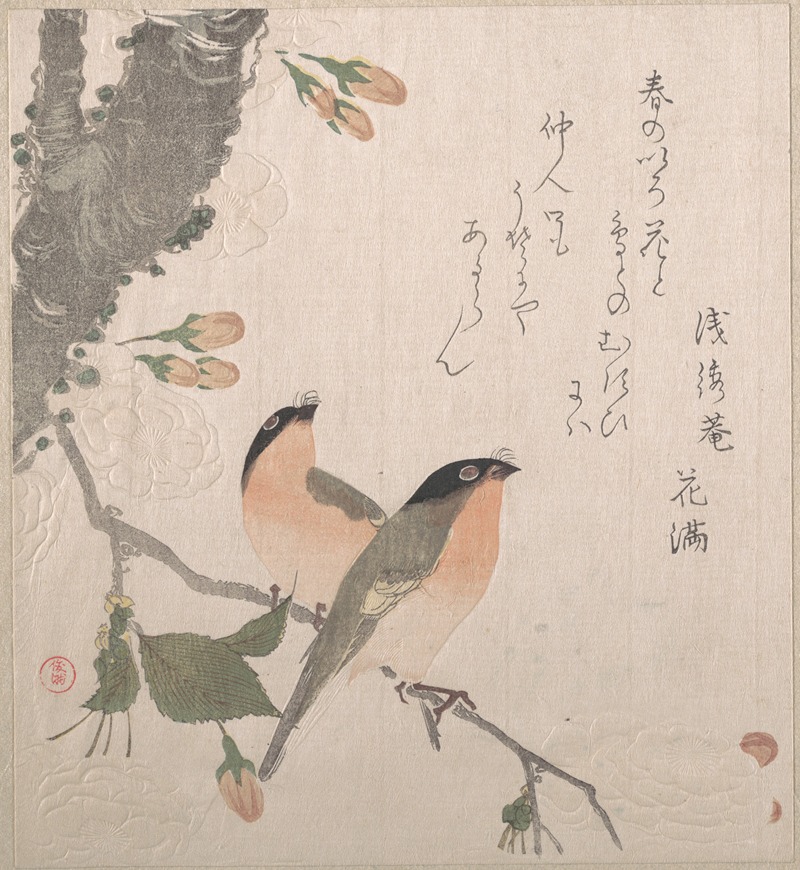 Kubo Shunman - Bullfinches and Cherry Blossoms