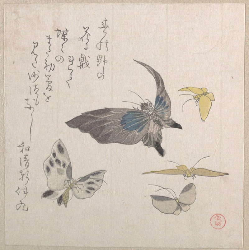 Kubo Shunman - Butterflies