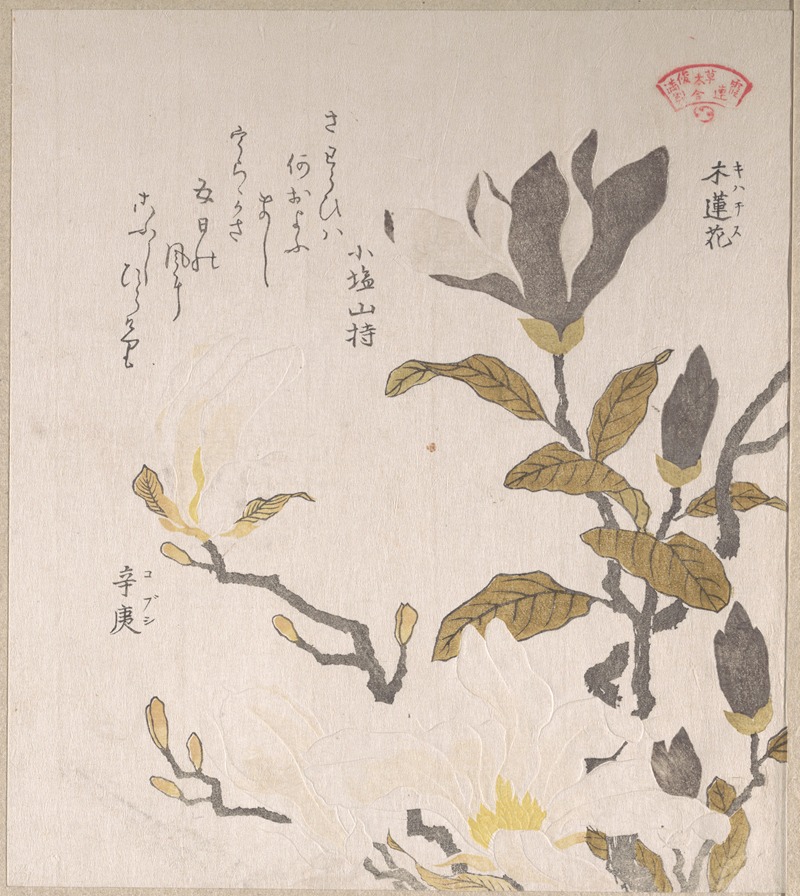 Kubo Shunman - Magnolia Flowers