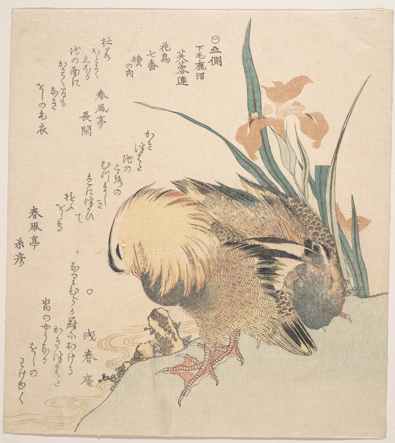 Kubo Shunman - Pair of Mandarin Ducks and Iris Flowers 2