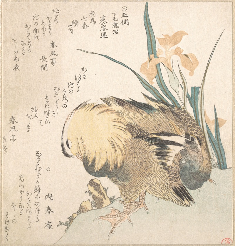 Kubo Shunman - Pair of Mandarin Ducks and Iris Flowers