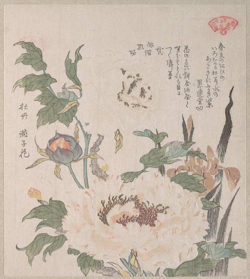 Kubo Shunman - Peonies and Iris