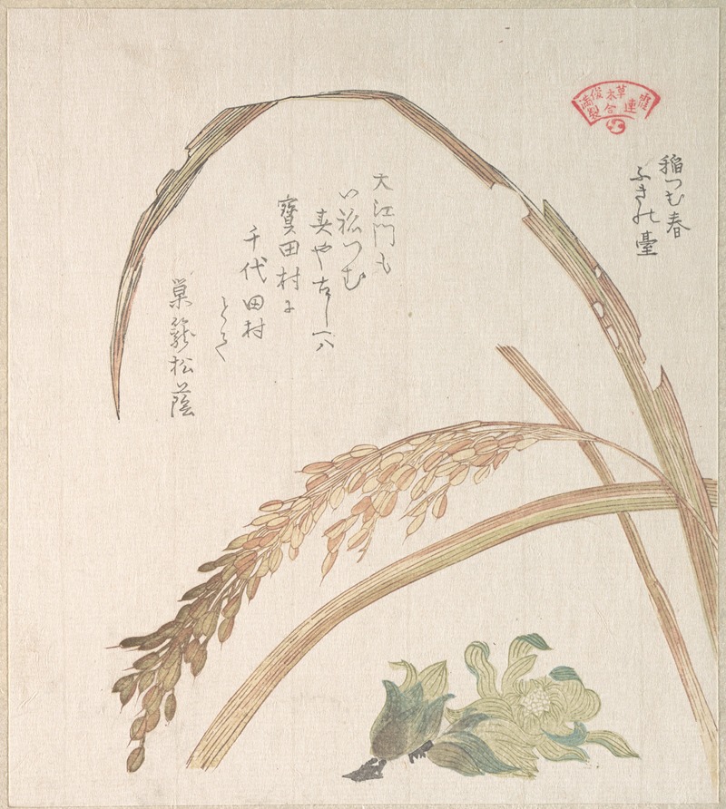 Kubo Shunman - Rice Plant and Butter-Burs