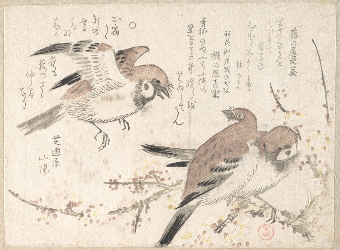 Kubo Shunman - Sparrows and Plum Blossoms