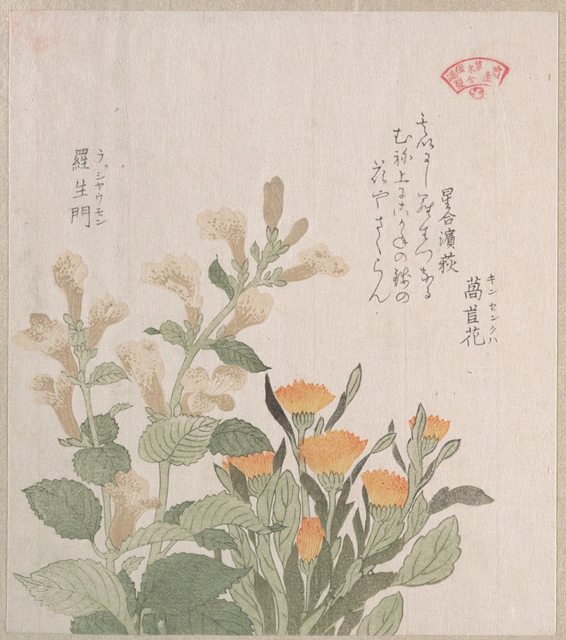 Kubo Shunman - The Common Marigold and The Rajoman Flowers