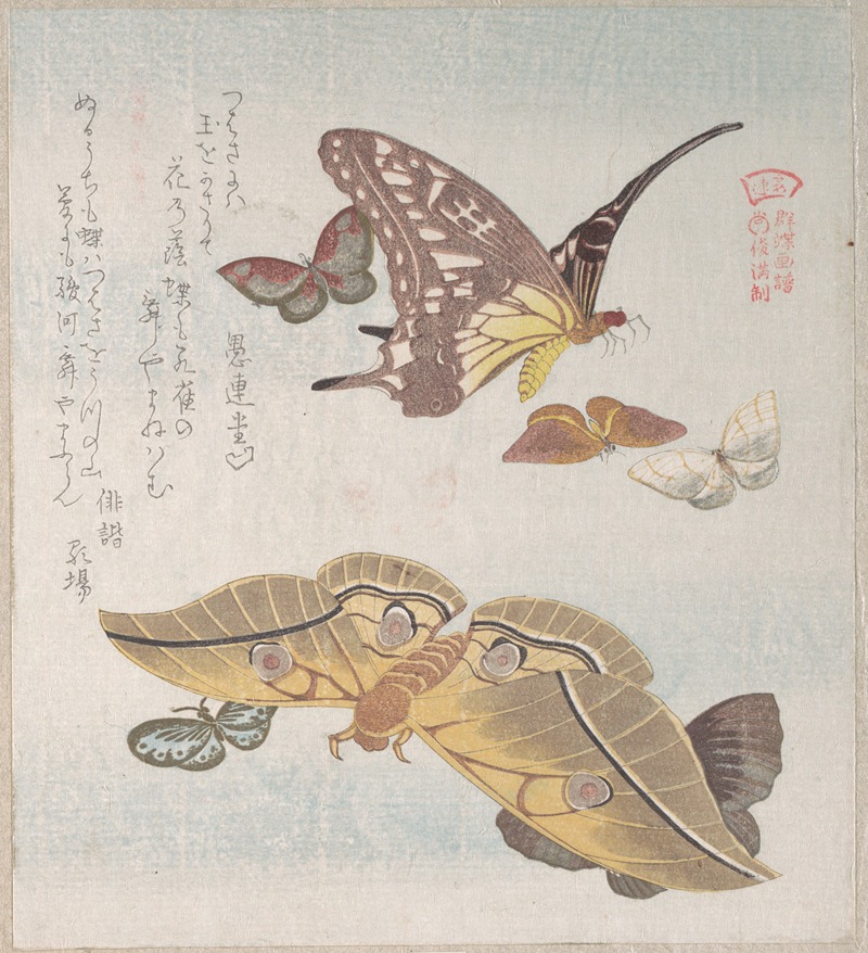 Kubo Shunman - Various Moths and Butterflies