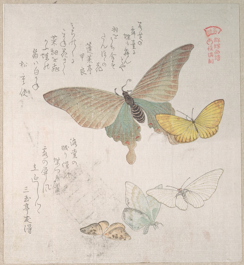 Kubo Shunman - Various Moths and Butterflies