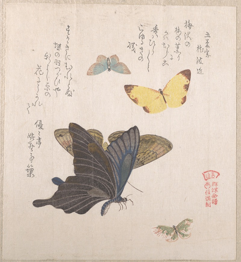 Kubo Shunman - Various Moths and Butterflies