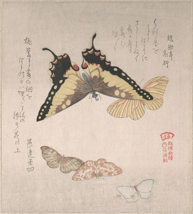 Kubo Shunman - Various Moths and Butterflies