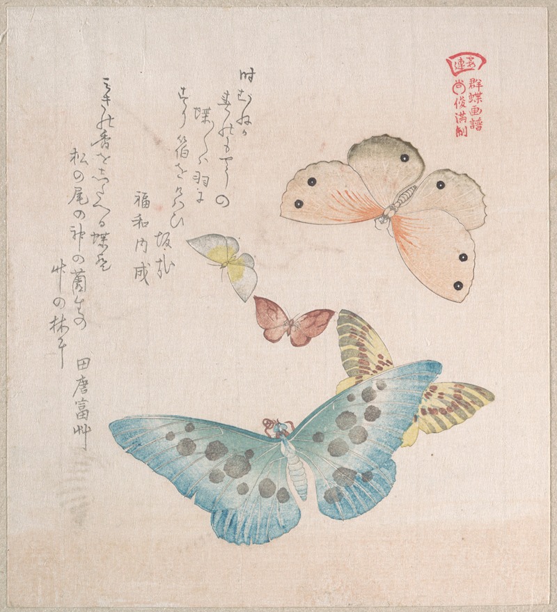 Kubo Shunman - Various Moths and Butterflies