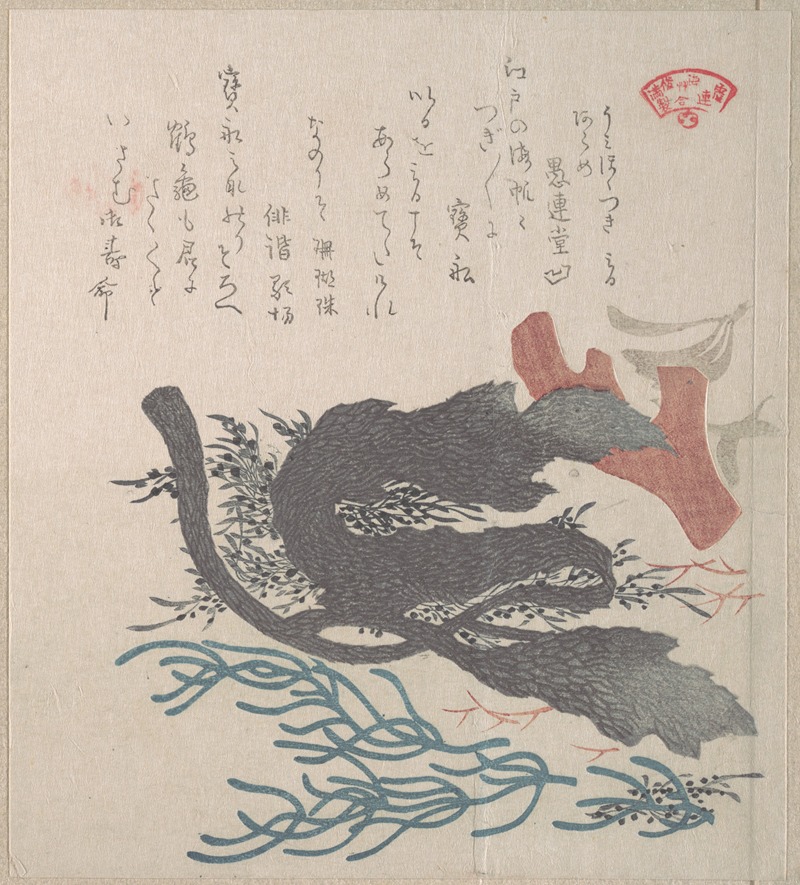 Kubo Shunman - Various Seaweed