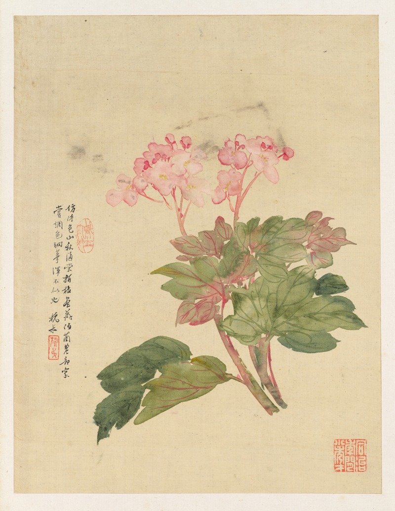 Liang Yuwei - Flowers Pl.09