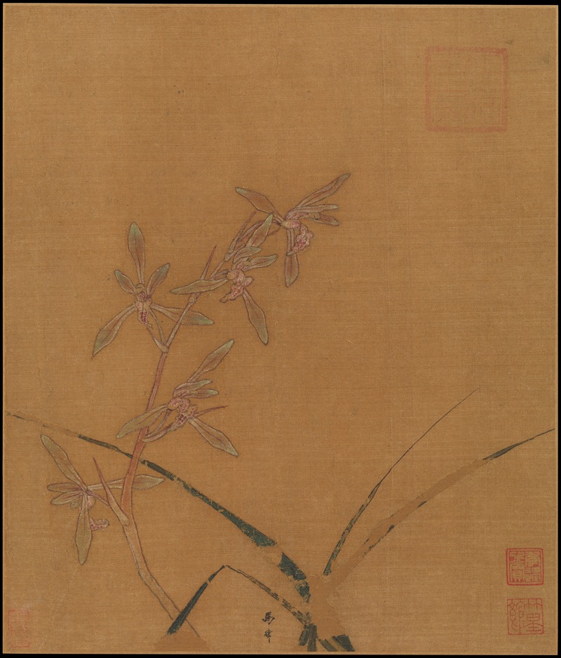 Ma Lin - Orchids