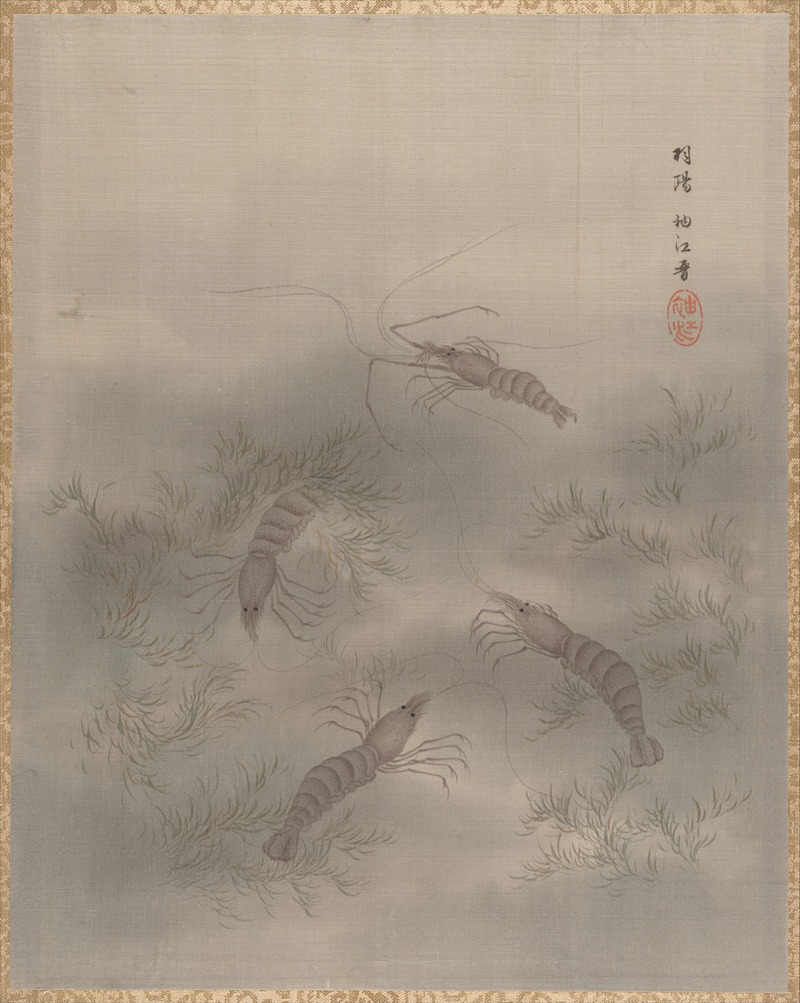 Seki Shūkō - Shrimp (Ebi)