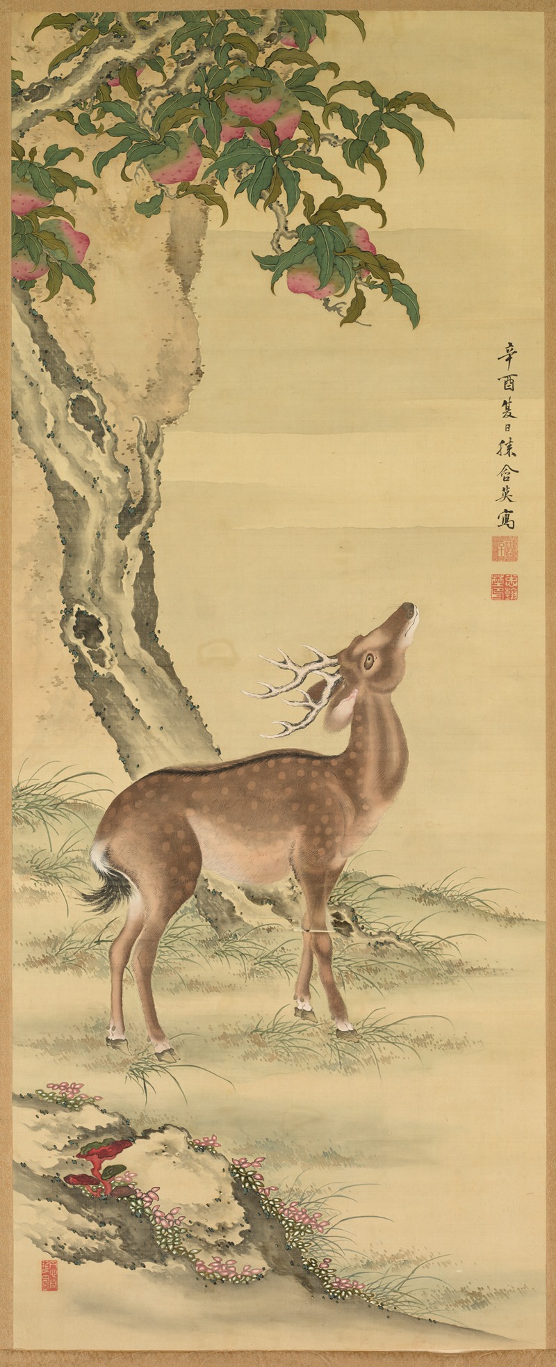 Toda Tadanaka - Symbols of Longevity; Deer under Peach and Pine (Pine)