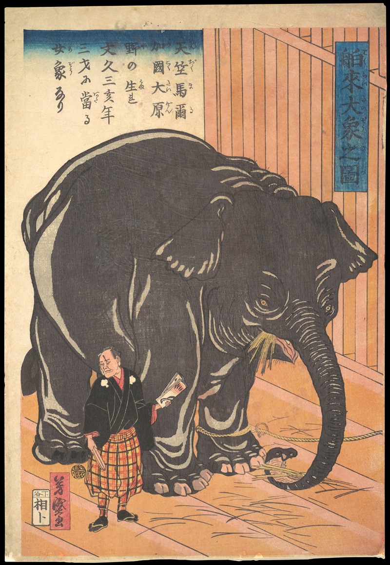 Utagawa Yoshimori - View of the Large Imported Elephant