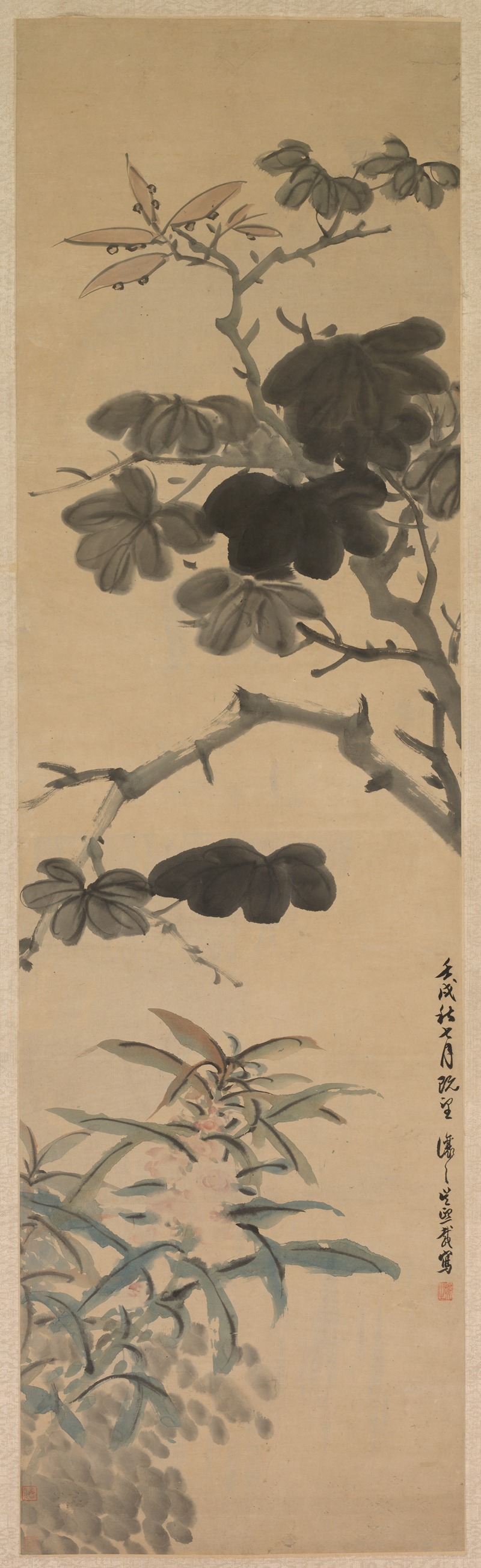 Wu Rangzhi - Flowering Plants