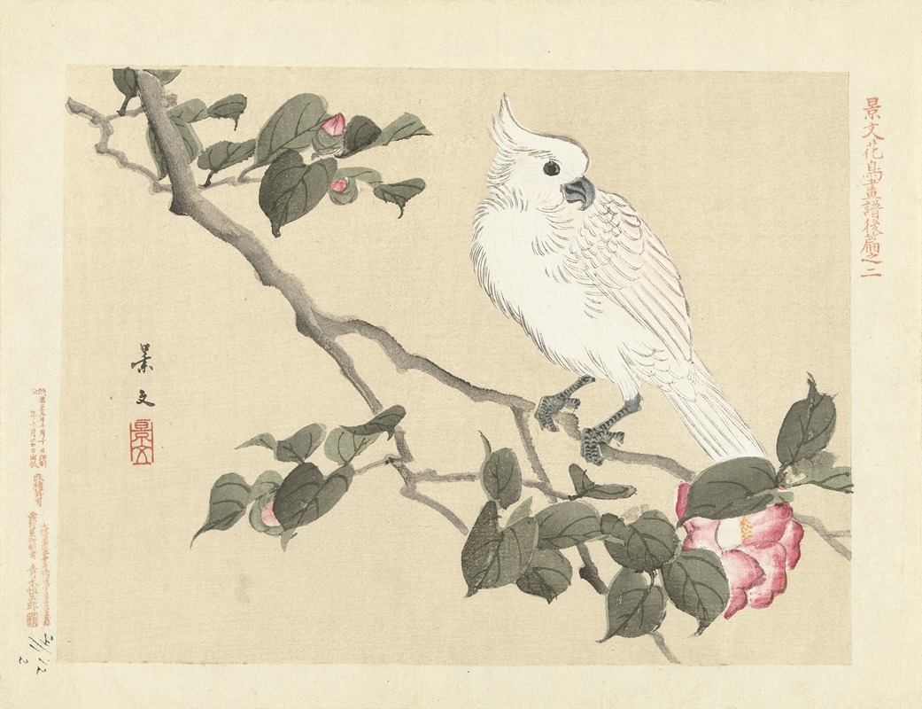 Matsumura Keibun - Camellia and yellow-crested cockatoo