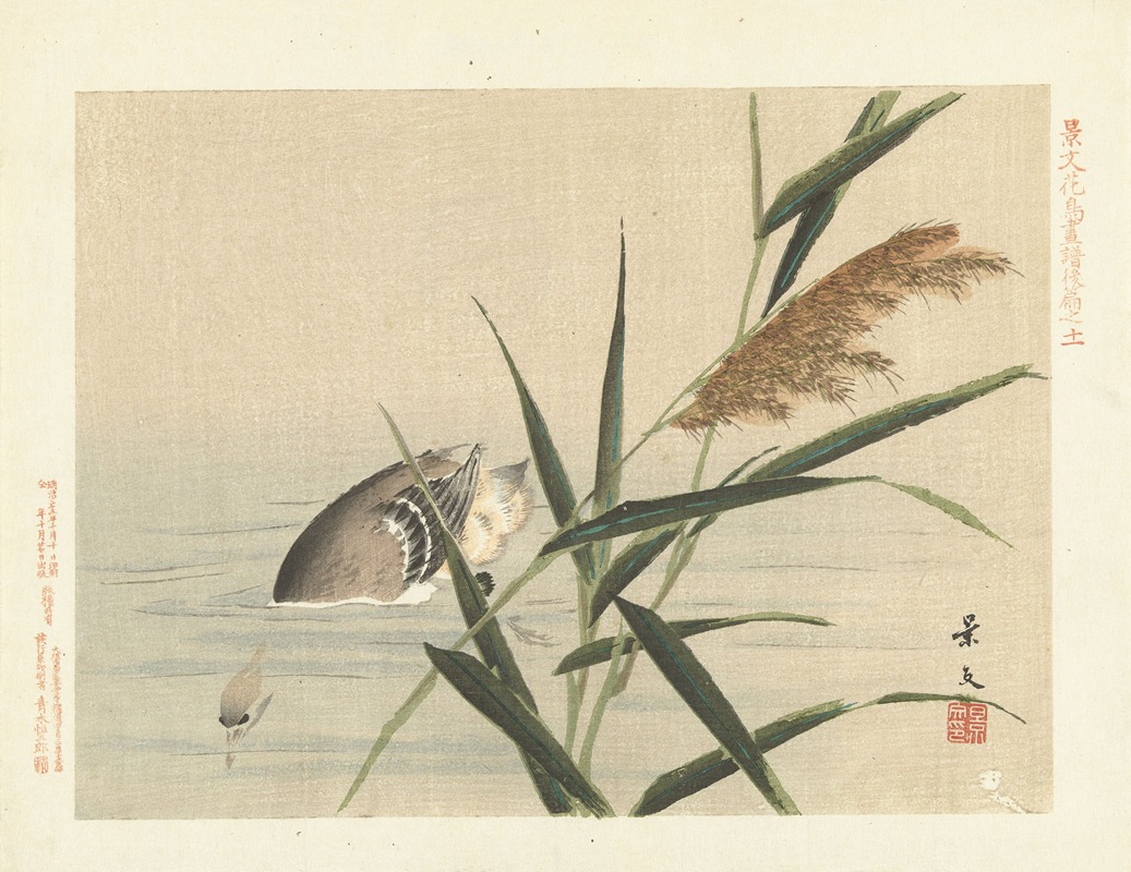 Matsumura Keibun - Common reed and little grebe