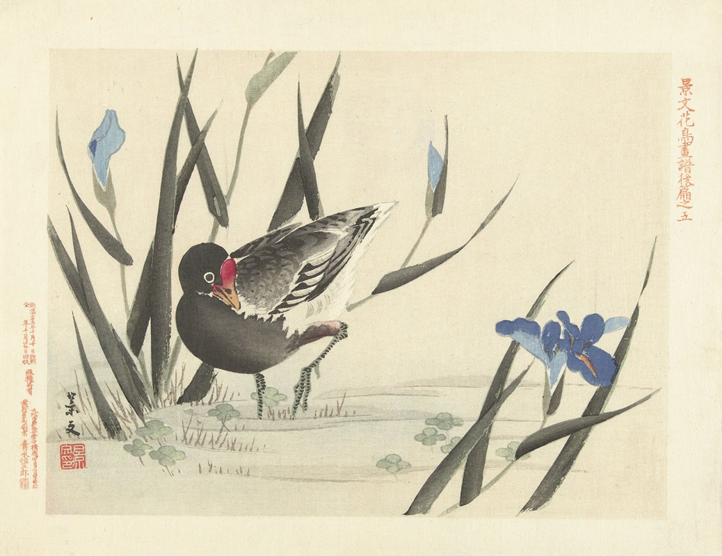 Matsumura Keibun - Japanese iris and common moorhen