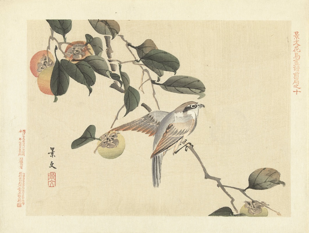 Matsumura Keibun - Japanese persimmon and bull-headed shrike