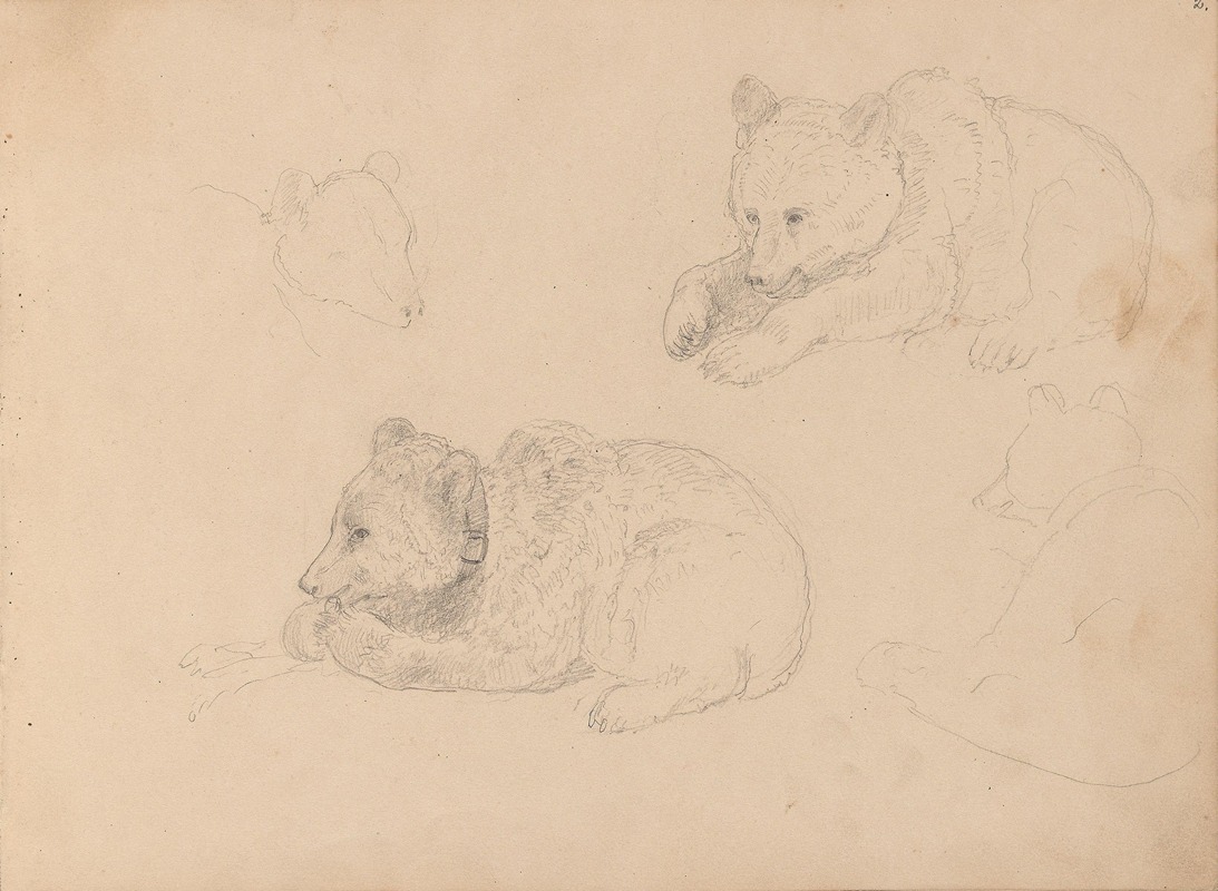 Adolph Tidemand - Studies of bear cubs