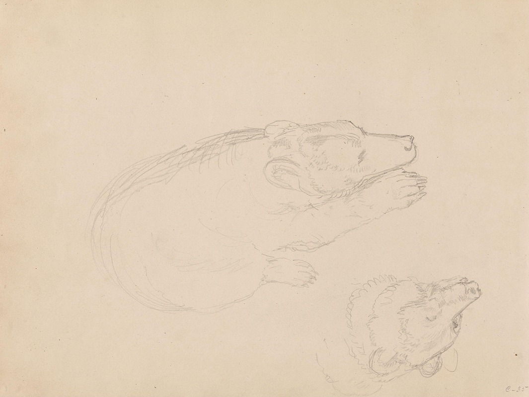 Adolph Tidemand - Studies of bears
