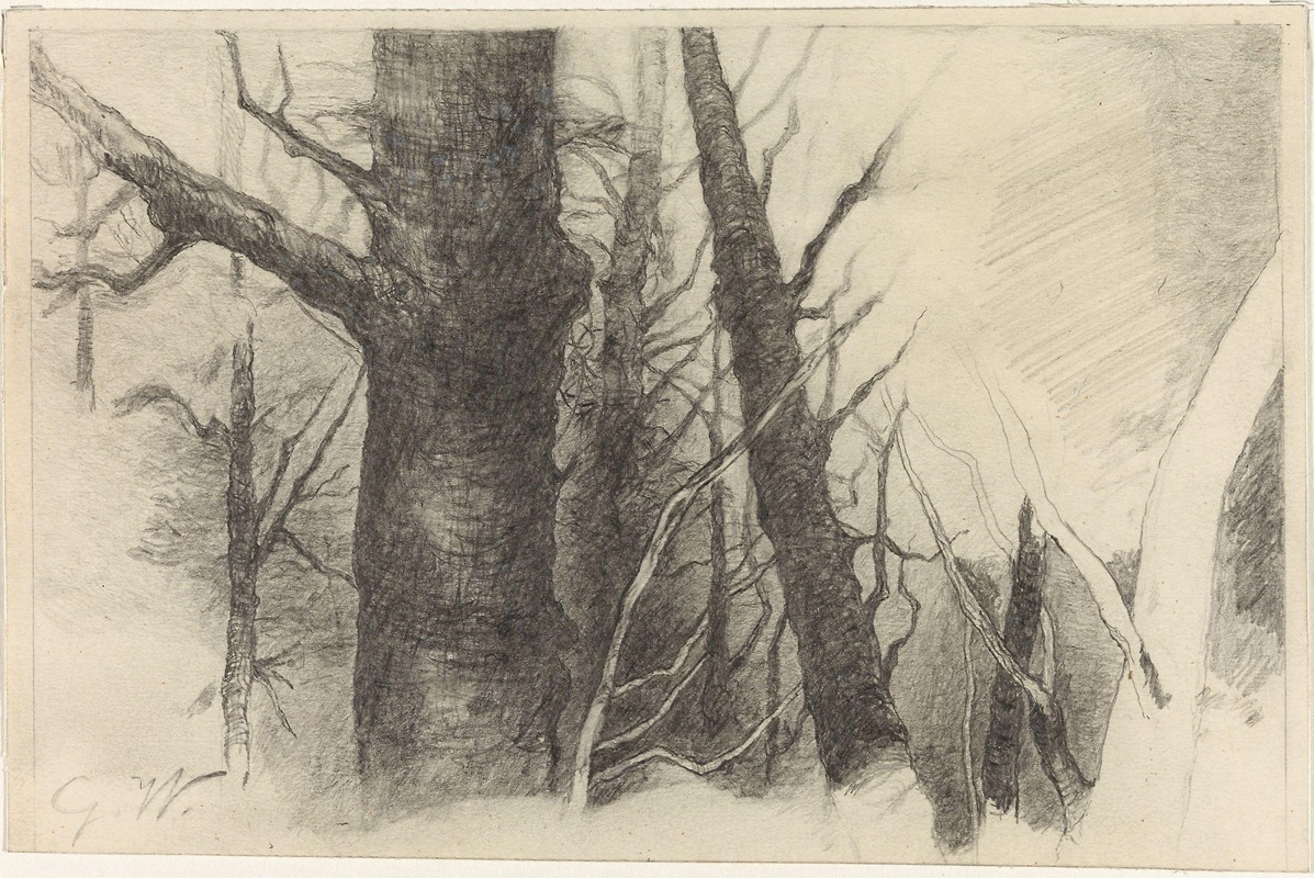 Gustav Wentzel - Study of a Tree