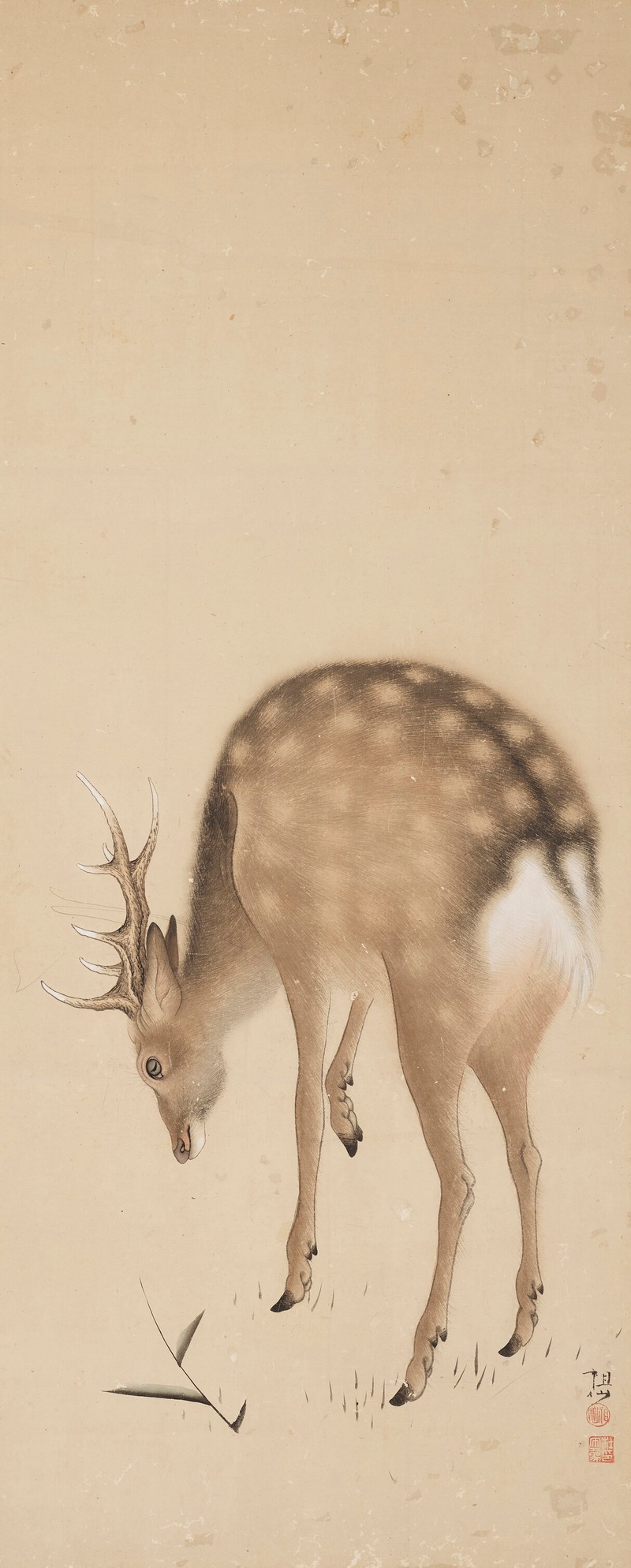 Mori Sosen - Deer