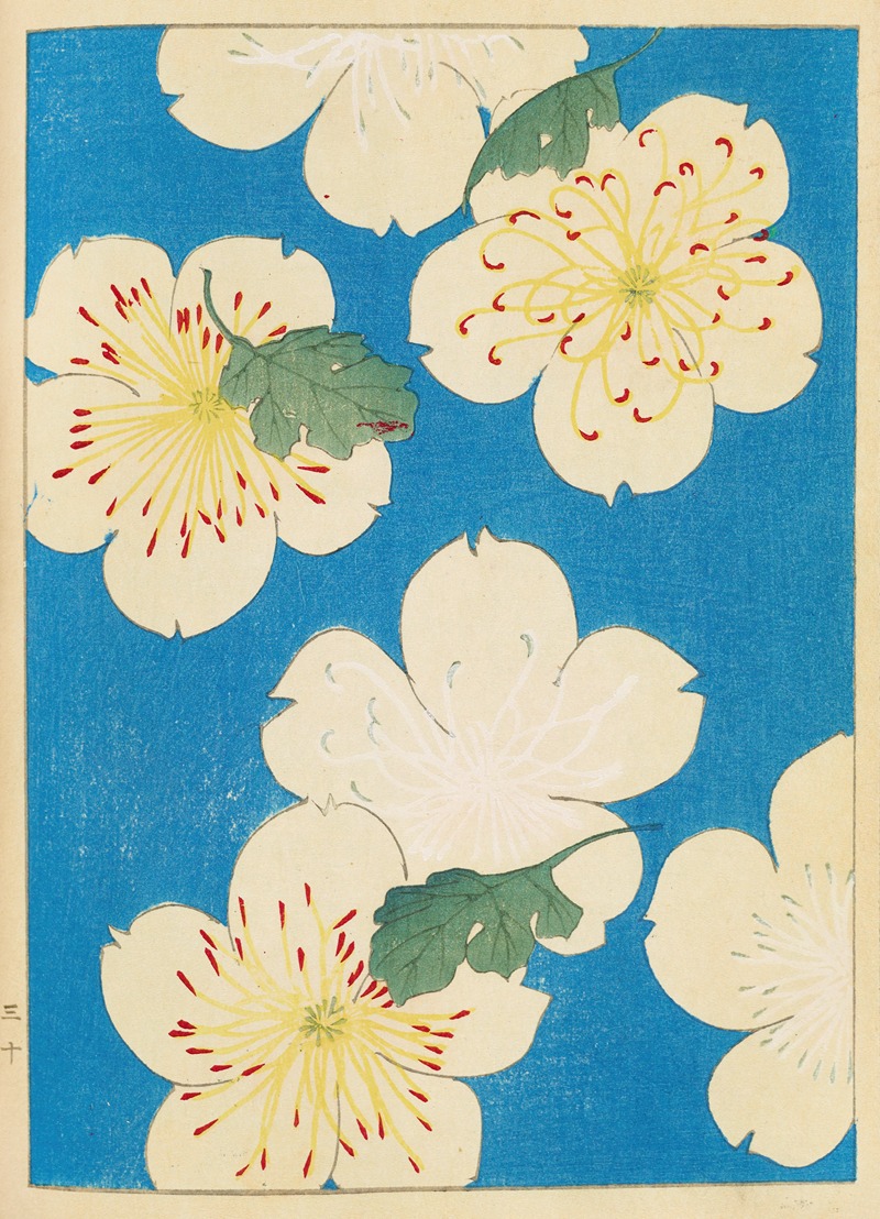 Furuya Kōrin - Shin-Bijutsukai Pl.082