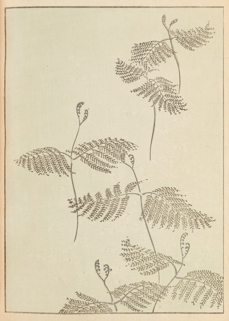 Furuya Kōrin - Shin-Bijutsukai Pl.230