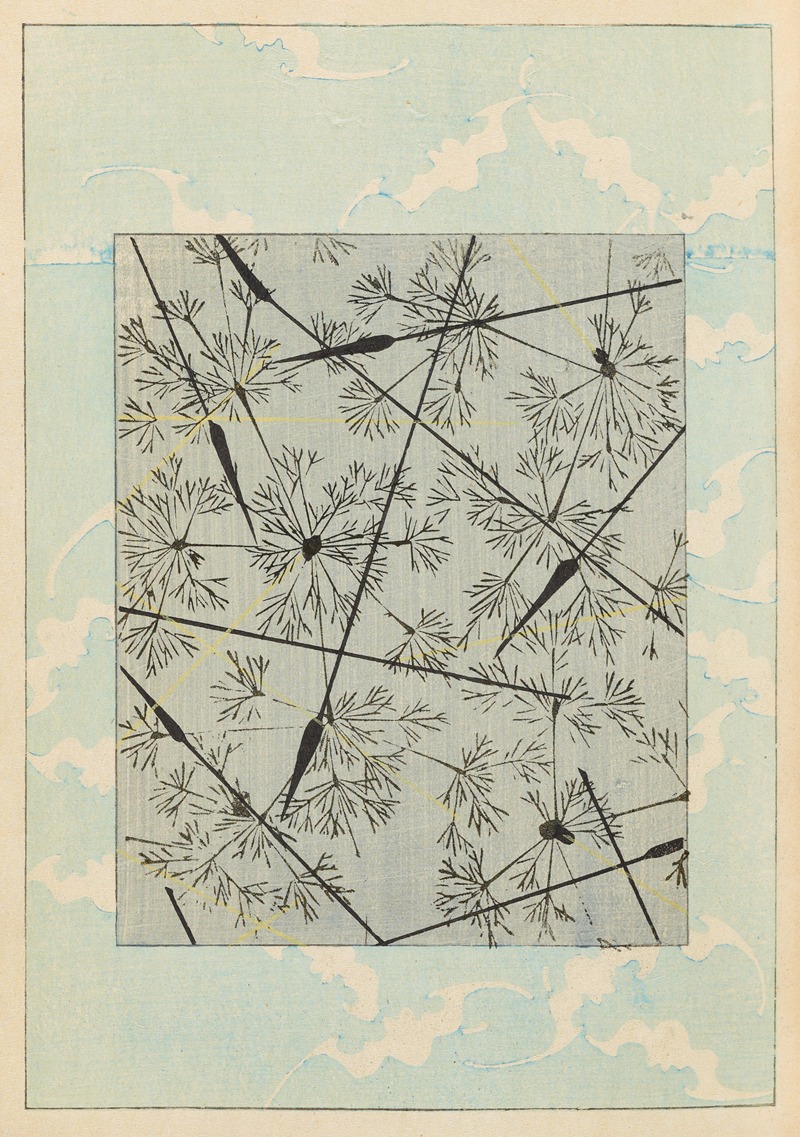 Furuya Kōrin - Shin-Bijutsukai Pl.325