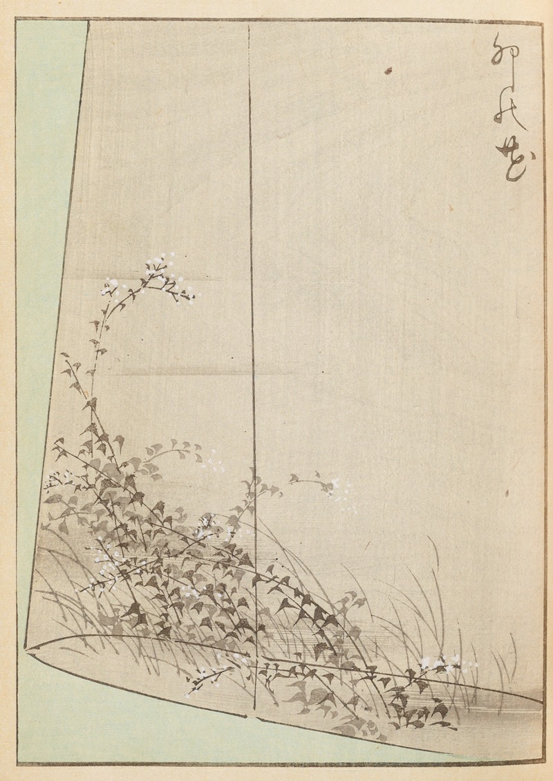 Furuya Kōrin - Shin-Bijutsukai Pl.341