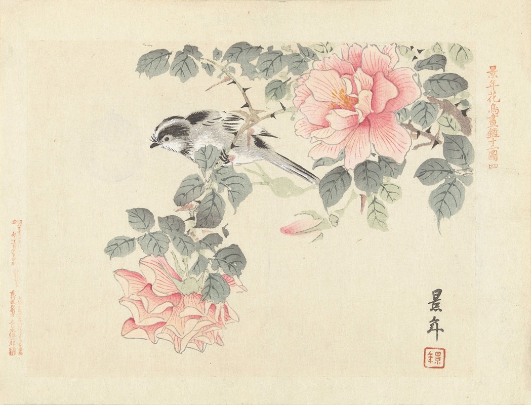 Imao Keinen - Zwart-wit vogeltje tussen roze rozen