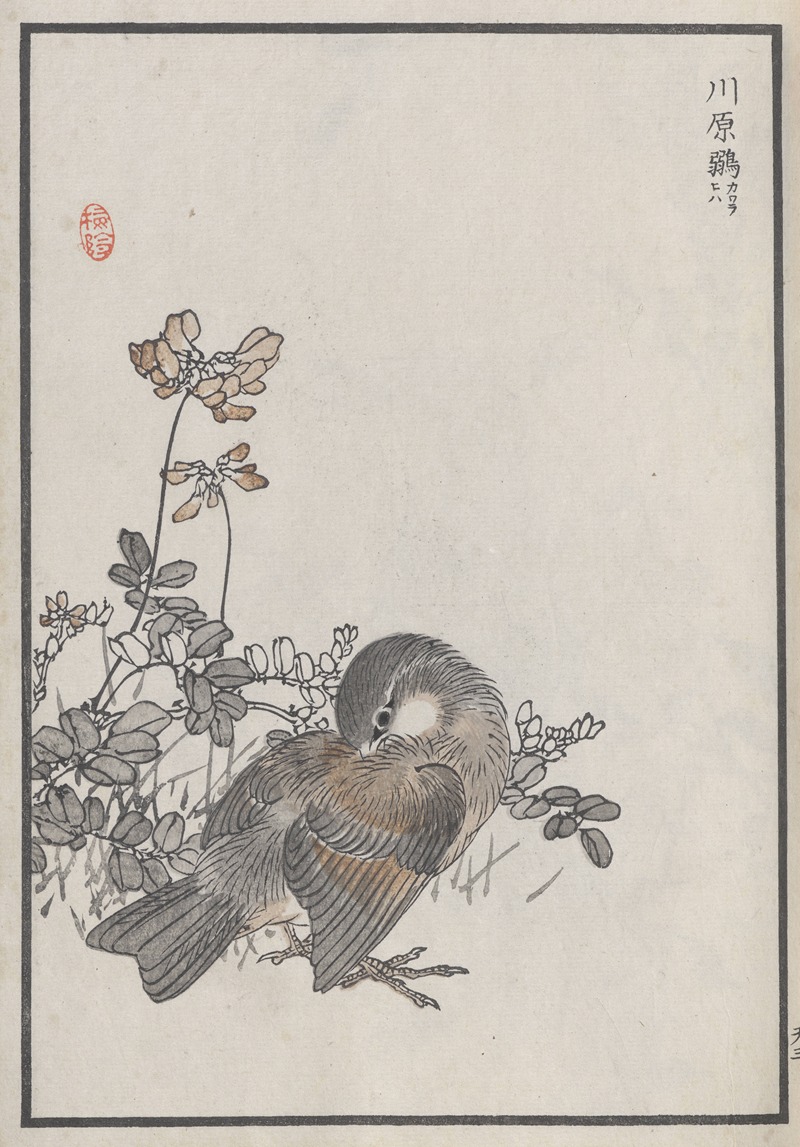 Kōno Bairei - Bairei hyakuchō gafu. Ten Pl.05