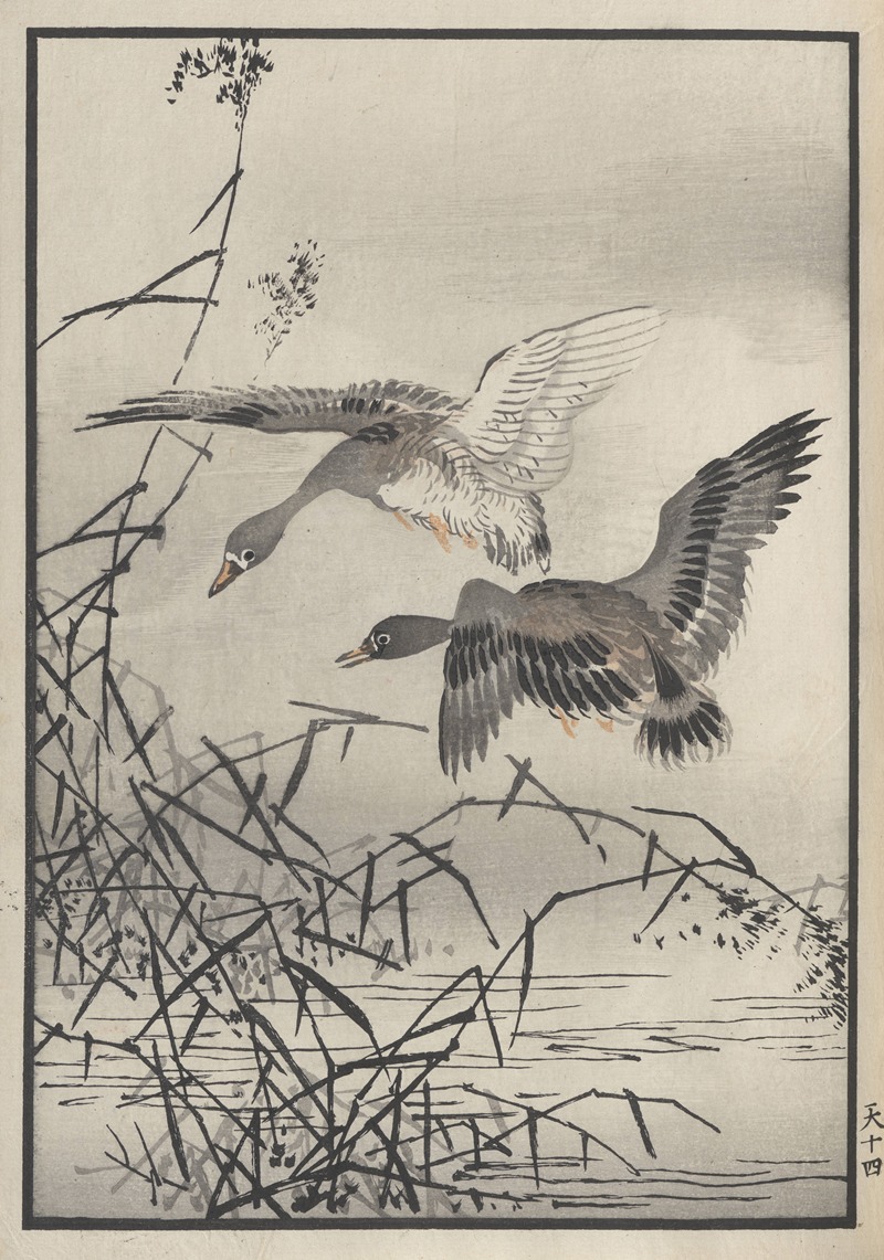 Kōno Bairei - Bairei hyakuchō gafu. Ten Pl.27