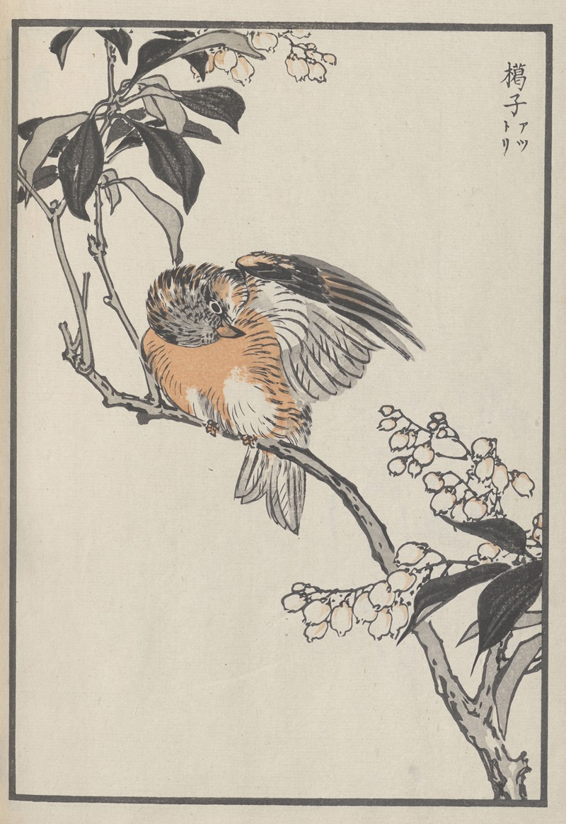 Kōno Bairei - Bairei hyakuchō gafu. Ten Pl.30