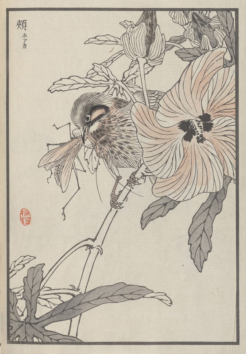 Kōno Bairei - Bairei hyakuchō gafu. Ten Pl.36