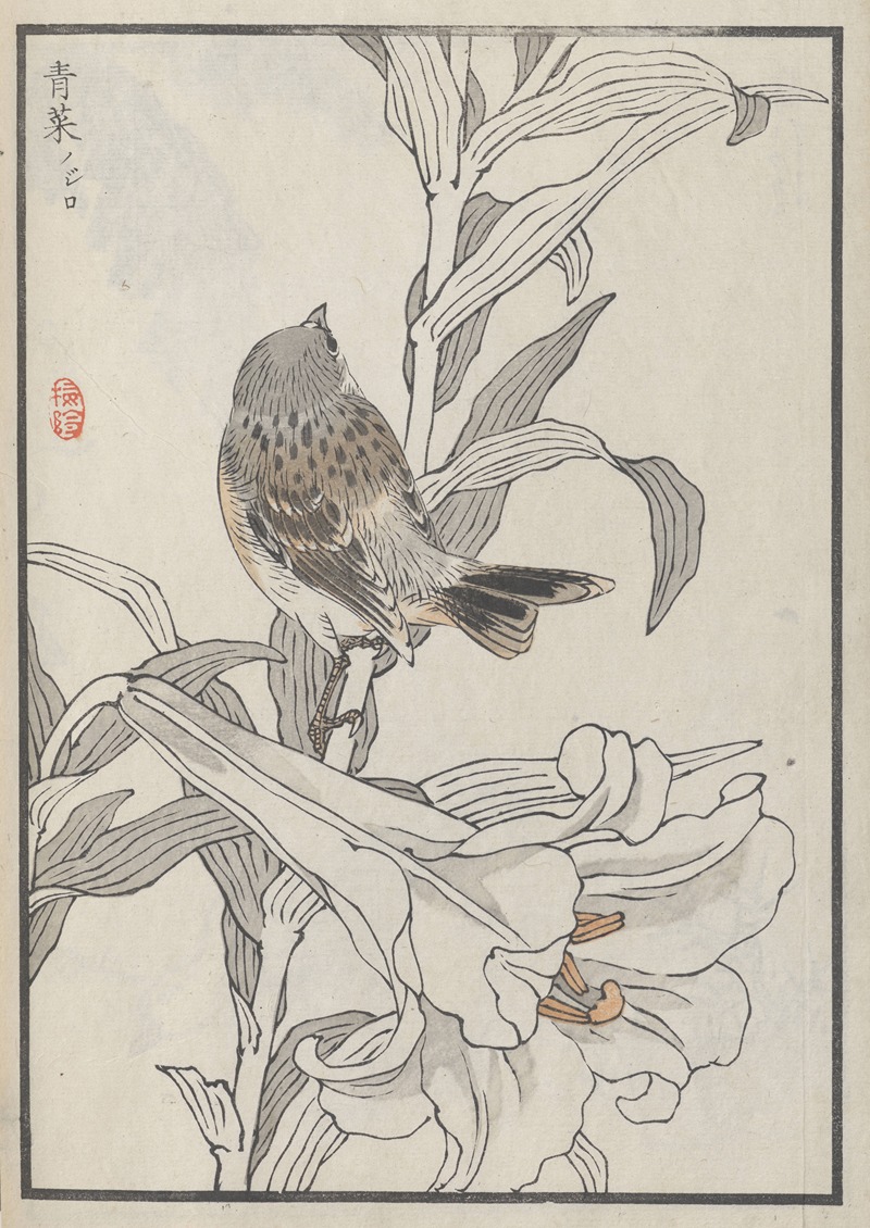Kōno Bairei - Bairei hyakuchō gafu. Ten Pl.40