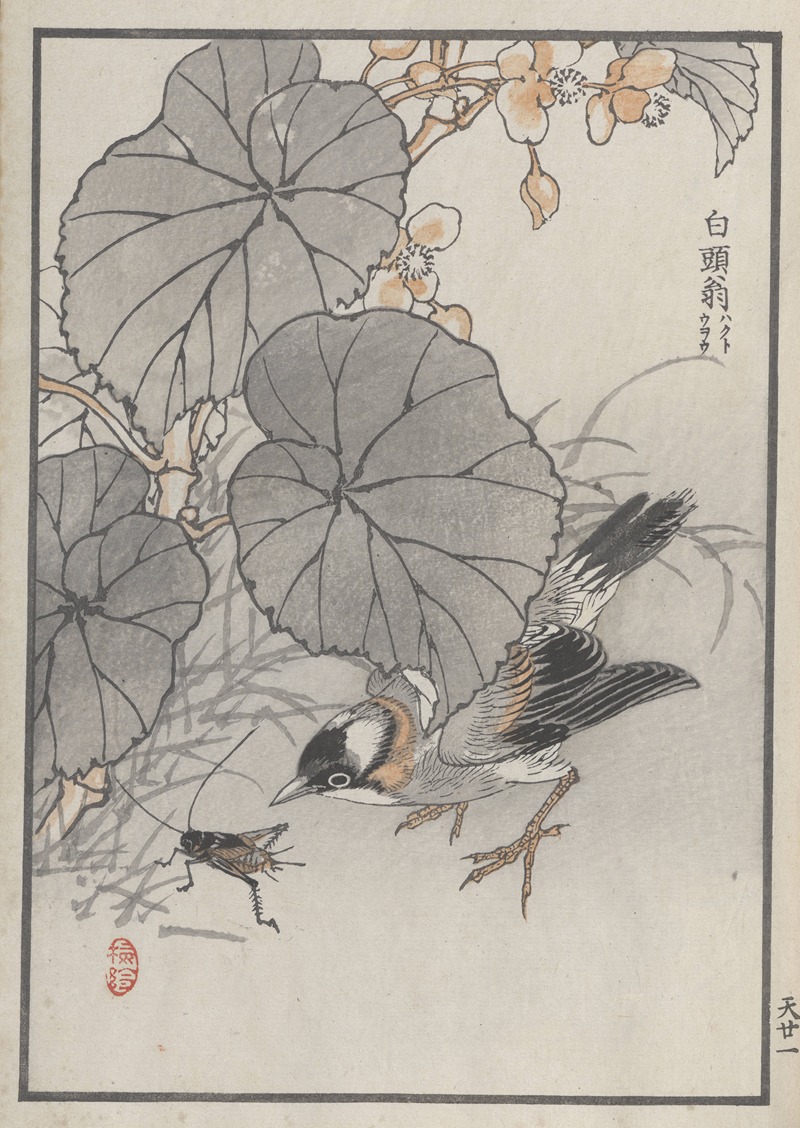 Kōno Bairei - Bairei hyakuchō gafu. Ten Pl.41