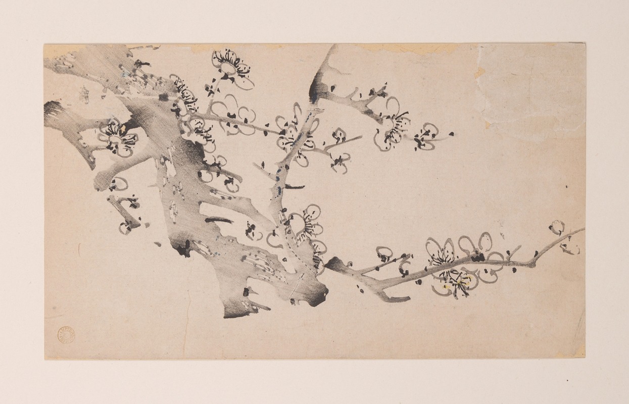 Anonymous - Shi Zhu Zhai Pl.10