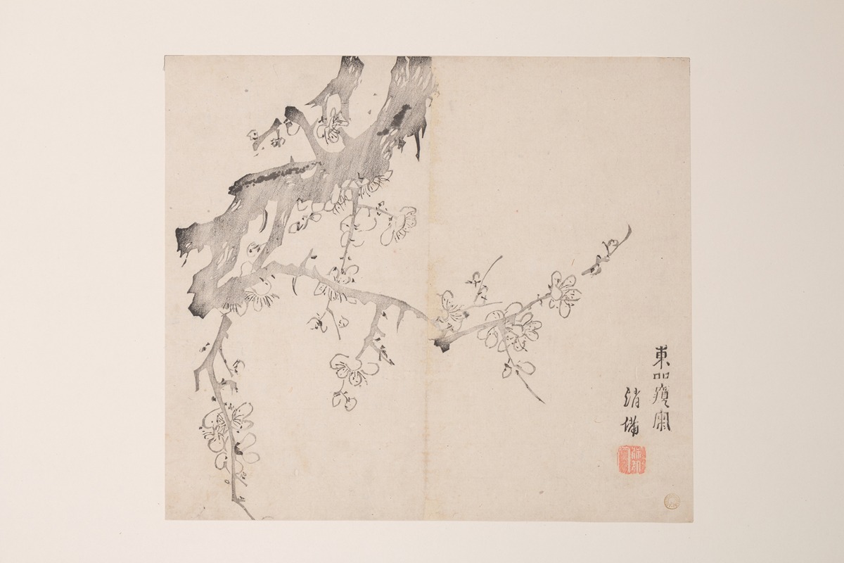 Anonymous - Shi Zhu Zhai Pl.11