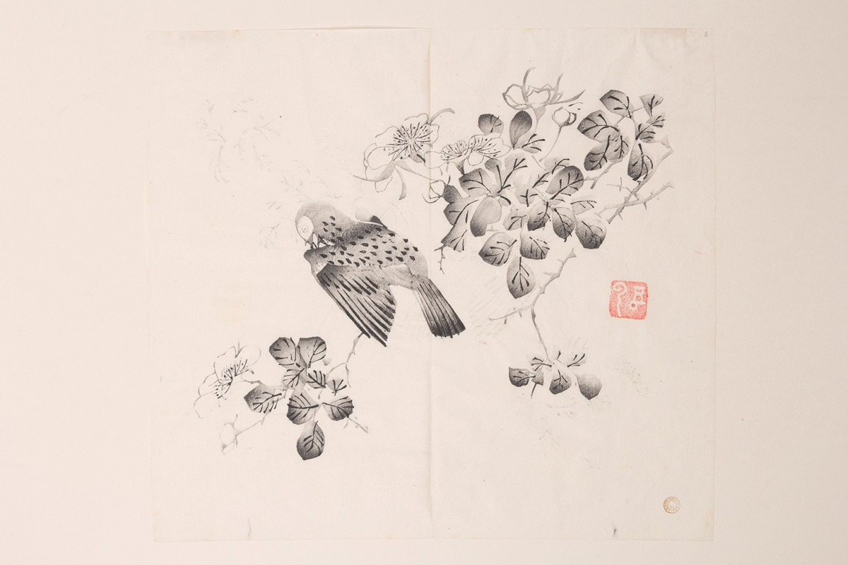 Anonymous - Shi Zhu Zhai Pl.21