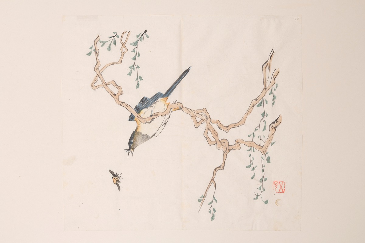 Anonymous - Shi Zhu Zhai Pl.27