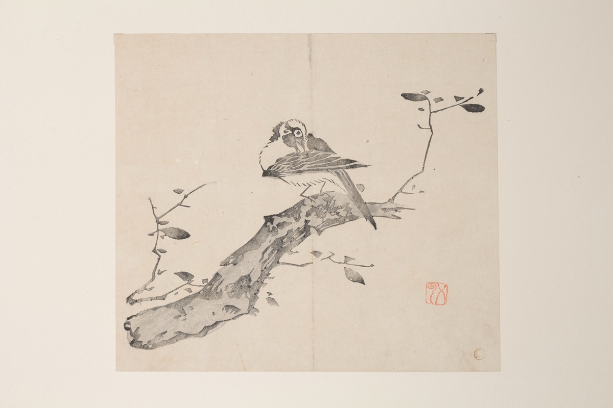 Anonymous - Shi Zhu Zhai Pl.37