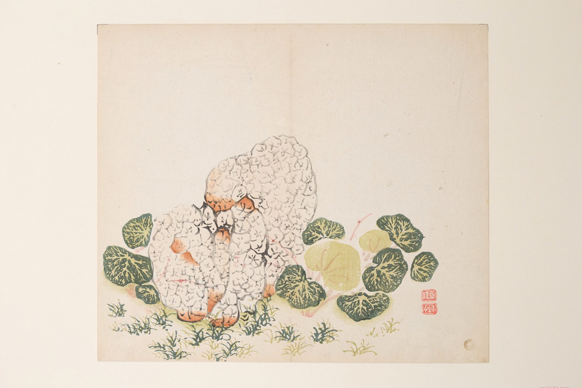 Anonymous - Shi Zhu Zhai Pl.39