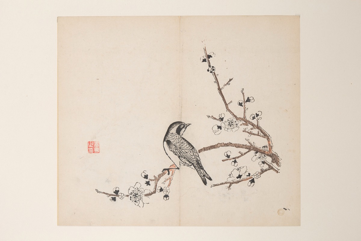 Anonymous - Shi Zhu Zhai Pl.41